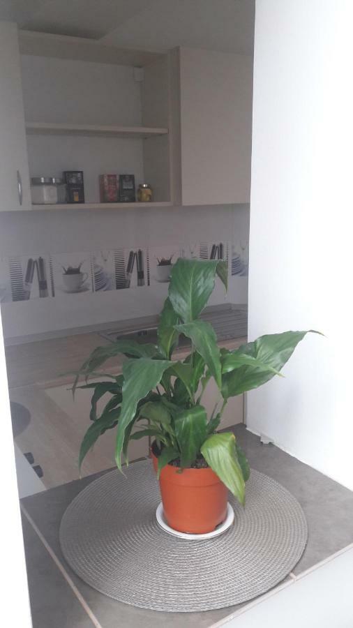 Melody Apartment Alba Iulia Eksteriør bilde